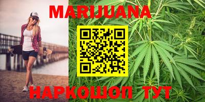 индика Бердск