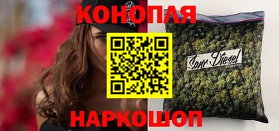индика Бердск