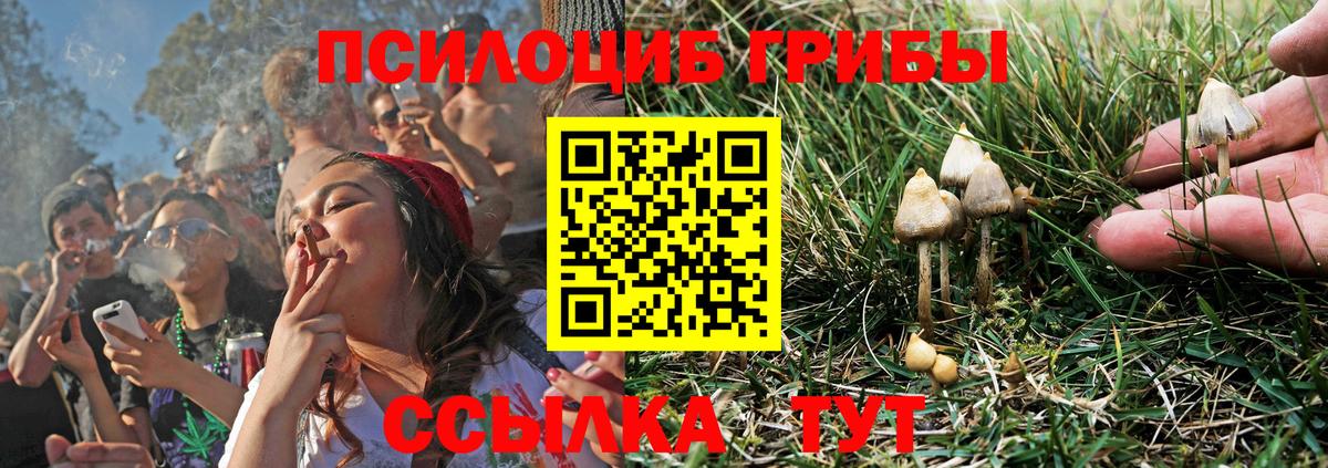 Галлюциногенные грибы GOLDEN TEACHER Асино