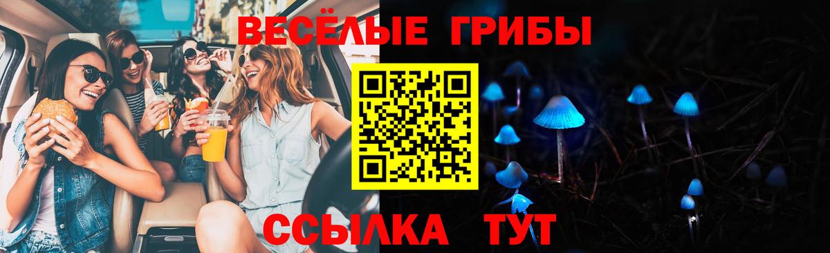 Асино  Псилоцибиновые грибы Cubensis  Вход с VPN  Псилоцибиновые грибы Magic Shrooms 